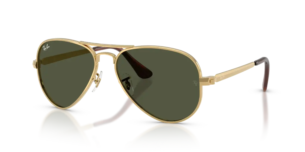 SUNGLASSES RAY.BAN